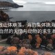 強震致山體崩落，海豹集體跳海躲避，大自然的無情與動物的求生本能