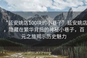 “延安姚店100塊的小巷子”延安姚店，隱藏在繁華背后的神秘小巷子，百元之旅揭示歷史魅力