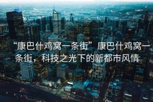 “康巴什雞窩一條街”康巴什雞窩一條街，科技之光下的新都市風情
