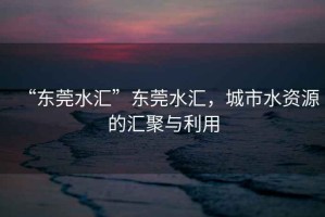 “東莞水匯”東莞水匯，城市水資源的匯聚與利用