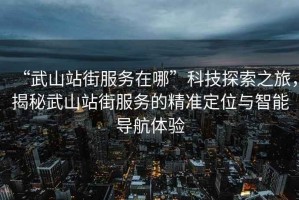 “武山站街服務在哪”科技探索之旅，揭秘武山站街服務的精準定位與智能導航體驗
