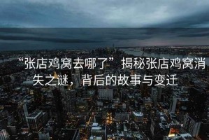 “張店雞窩去哪了”揭秘張店雞窩消失之謎，背后的故事與變遷