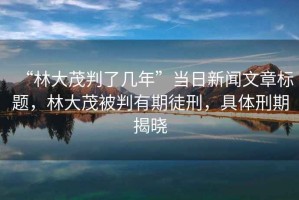 “林大茂判了幾年”當(dāng)日新聞文章標(biāo)題，林大茂被判有期徒刑，具體刑期揭曉