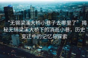 “無錫梁溪大橋小巷子去哪里了”揭秘?zé)o錫梁溪大橋下的消逝小巷，歷史變遷中的記憶與探索
