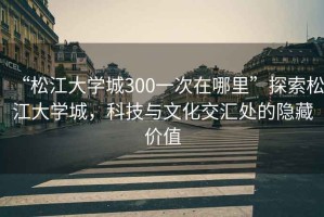 “松江大學城300一次在哪里”探索松江大學城，科技與文化交匯處的隱藏價值