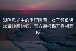 湖畔風(fēng)光中的爭議瞬間，女子領(lǐng)低保炫耀炒股賺錢，官方通報揭開真相面紗