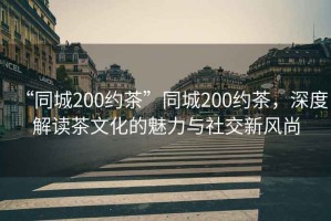 “同城200約茶”同城200約茶，深度解讀茶文化的魅力與社交新風尚