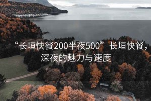 “長垣快餐200半夜500”長垣快餐，深夜的魅力與速度