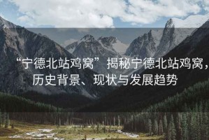 “寧德北站雞窩”揭秘寧德北站雞窩，歷史背景、現狀與發展趨勢