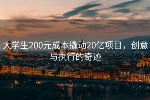 大學生200元成本撬動20億項目，創意與執行的奇跡
