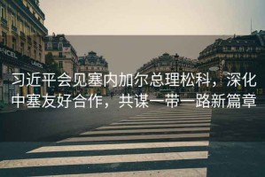 習近平會見塞內加爾總理松科，深化中塞友好合作，共謀一帶一路新篇章