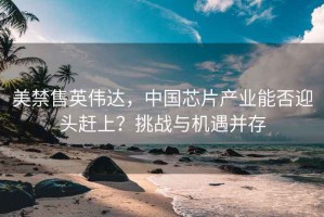 美禁售英偉達(dá)，中國芯片產(chǎn)業(yè)能否迎頭趕上？挑戰(zhàn)與機(jī)遇并存