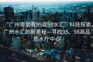 “廣州哪里有95或98水匯”科技探索，廣州水匯的新奧秘—尋找95、98高品質水療中心