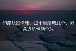印度航班驚魂，12個廁所堵11個，緊急返航驚動全球