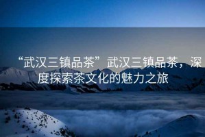 “武漢三鎮品茶”武漢三鎮品茶，深度探索茶文化的魅力之旅