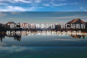 “銅仁站街后巷多少錢”銅仁站街后巷價格揭秘，深度解析與全面資訊