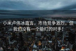 小米盧偉冰直言，市場競爭激烈，但我們沒有一個能打的對手！