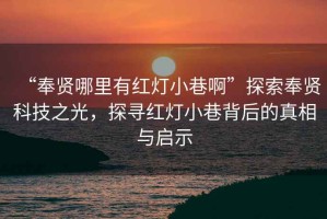 “奉賢哪里有紅燈小巷啊”探索奉賢科技之光，探尋紅燈小巷背后的真相與啟示