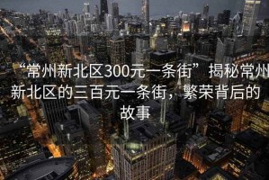 “常州新北區300元一條街”揭秘常州新北區的三百元一條街，繁榮背后的故事