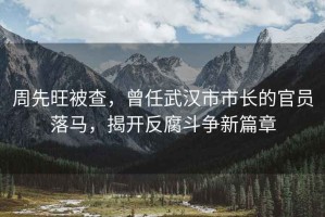 周先旺被查，曾任武漢市市長的官員落馬，揭開反腐斗爭新篇章