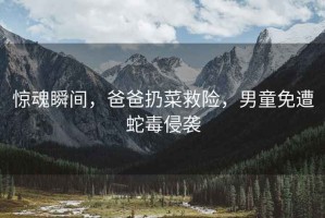 驚魂瞬間，爸爸扔菜救險，男童免遭蛇毒侵襲