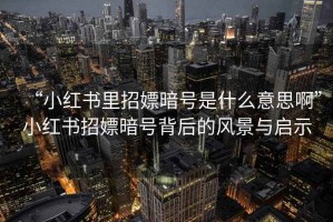 “小紅書里招嫖暗號是什么意思啊”小紅書招嫖暗號背后的風景與啟示