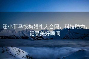 汪小菲馬筱梅婚禮大合照，科技助力，記錄美好瞬間