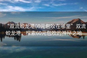 “雙流蛟龍港60元包吹在哪里”雙流蛟龍港，探索60元包吹的神秘之地