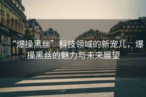 “爆操黑絲”科技領域的新寵兒，爆操黑絲的魅力與未來展望