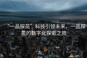 “一品探花”科技引領未來，一品探花的數字化探索之旅