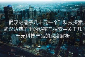 “武漢站巷子幾十元一個”科技探索，武漢站巷子里的秘密與探索—關于幾十元科技產品的深度解析
