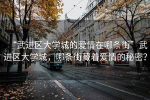 “武進區大學城的愛情在哪條街”武進區大學城，哪條街藏著愛情的秘密？