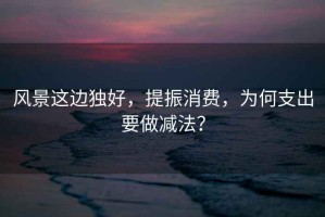風(fēng)景這邊獨(dú)好，提振消費(fèi)，為何支出要做減法？