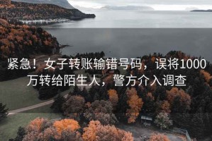 緊急！女子轉賬輸錯號碼，誤將1000萬轉給陌生人，警方介入調查