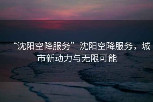 “沈陽空降服務(wù)”沈陽空降服務(wù)，城市新動(dòng)力與無限可能