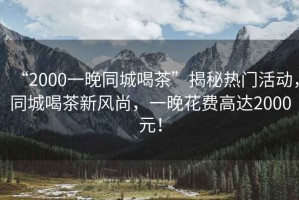 “2000一晚同城喝茶”揭秘熱門活動，同城喝茶新風尚，一晚花費高達2000元！