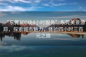 “東莞300塊4小時服務”東莞美景游蹤，探索城市魅力，體驗四小時三百元之旅