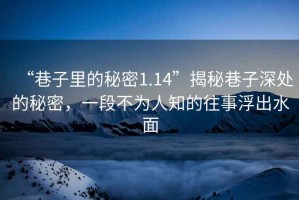 “巷子里的秘密1.14”揭秘巷子深處的秘密，一段不為人知的往事浮出水面