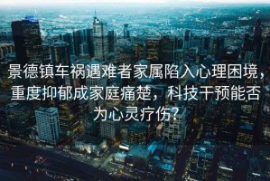 景德鎮車禍遇難者家屬陷入心理困境，重度抑郁成家庭痛楚，科技干預能否為心靈療傷？