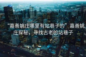 “嘉善姚莊哪里有站巷子的”嘉善姚莊探秘，尋找古老的站巷子