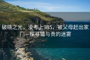 破曉之光，沒考上985，被父母趕出家門—探尋錯與責的迷霧
