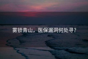 霧鎖青山，醫(yī)保漏洞何處尋？