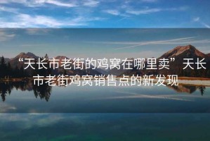 “天長市老街的雞窩在哪里賣”天長市老街雞窩銷售點的新發現