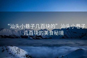 “汕頭小巷子幾百塊的”汕頭小巷子幾百塊的美食秘境