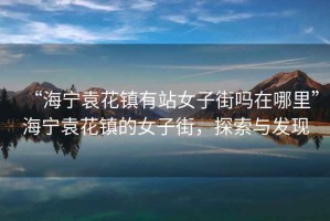 “海寧袁花鎮有站女子街嗎在哪里”海寧袁花鎮的女子街，探索與發現