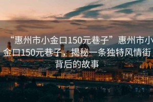 “惠州市小金口150元巷子”惠州市小金口150元巷子，揭秘一條獨特風(fēng)情街背后的故事