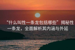 “什么叫性一條龍包括哪些”揭秘性一條龍，全面解析其內涵與外延
