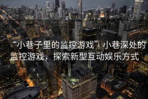 “小巷子里的監(jiān)控游戲”小巷深處的監(jiān)控游戲，探索新型互動(dòng)娛樂方式