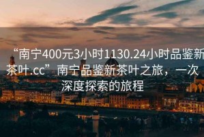 “南寧400元3小時1130.24小時品鑒新茶葉.cc”南寧品鑒新茶葉之旅，一次深度探索的旅程