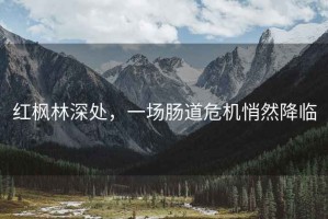 紅楓林深處，一場腸道危機悄然降臨